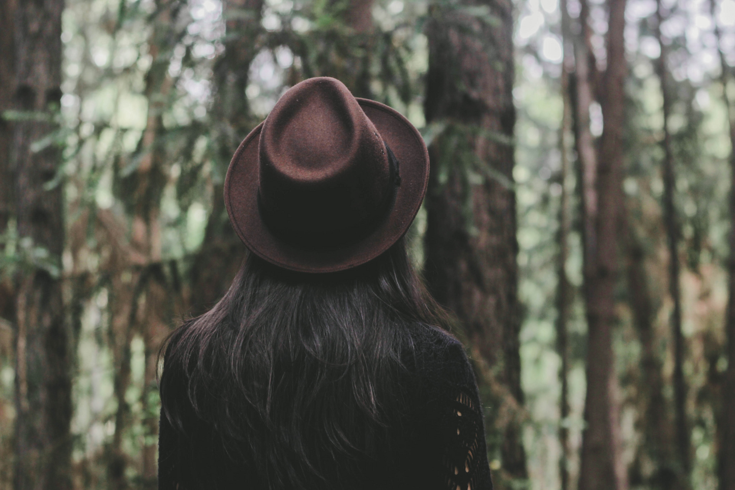 Grounded Candle - A Walk In The Woods