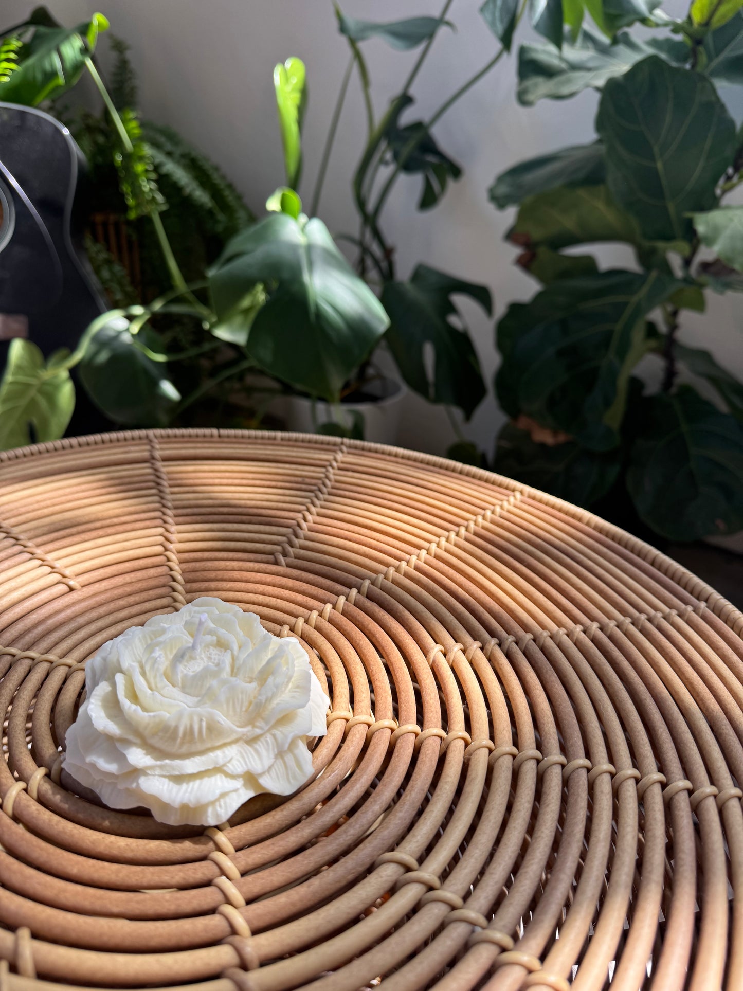A Pair of Roses Candles