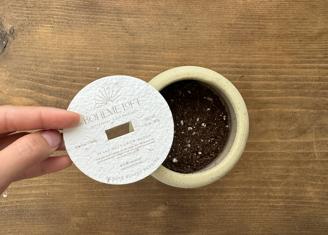 How to Plant The Seed Label: Step by Step Guide